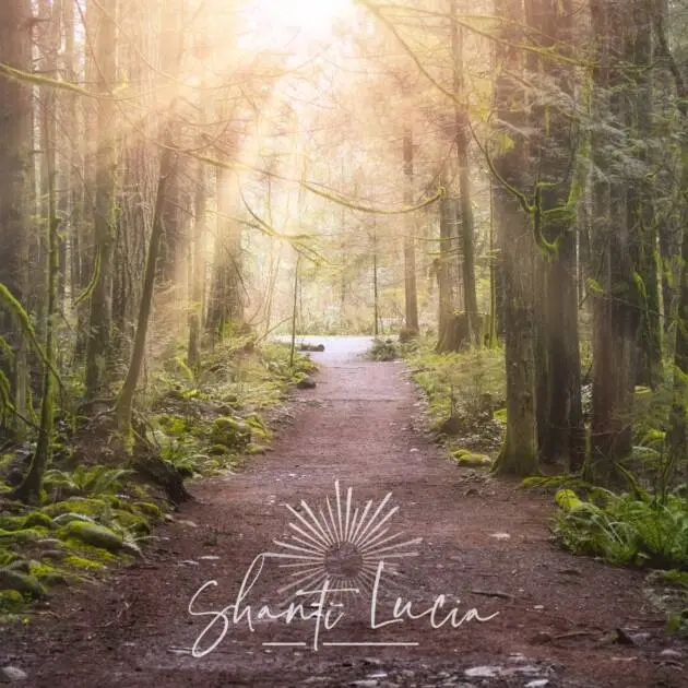 New Year Meditation
