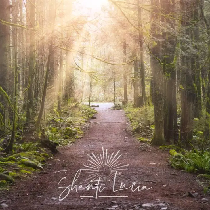New Year Meditation